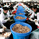 Kaesong Industrial Complex